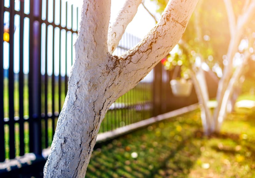 Pool Fencing